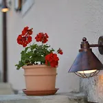 House Nona Roza